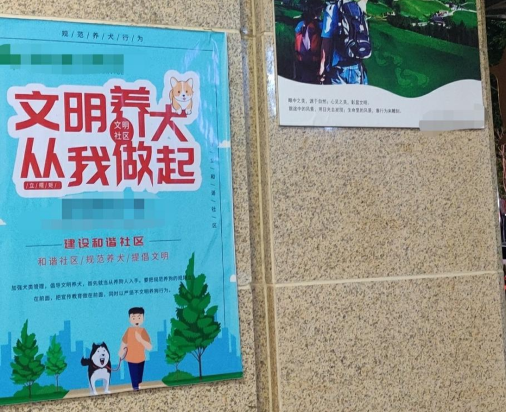 封面现场|探访"徽州宴事件"发生地:小区贴"文明养犬"提示,网红扎堆