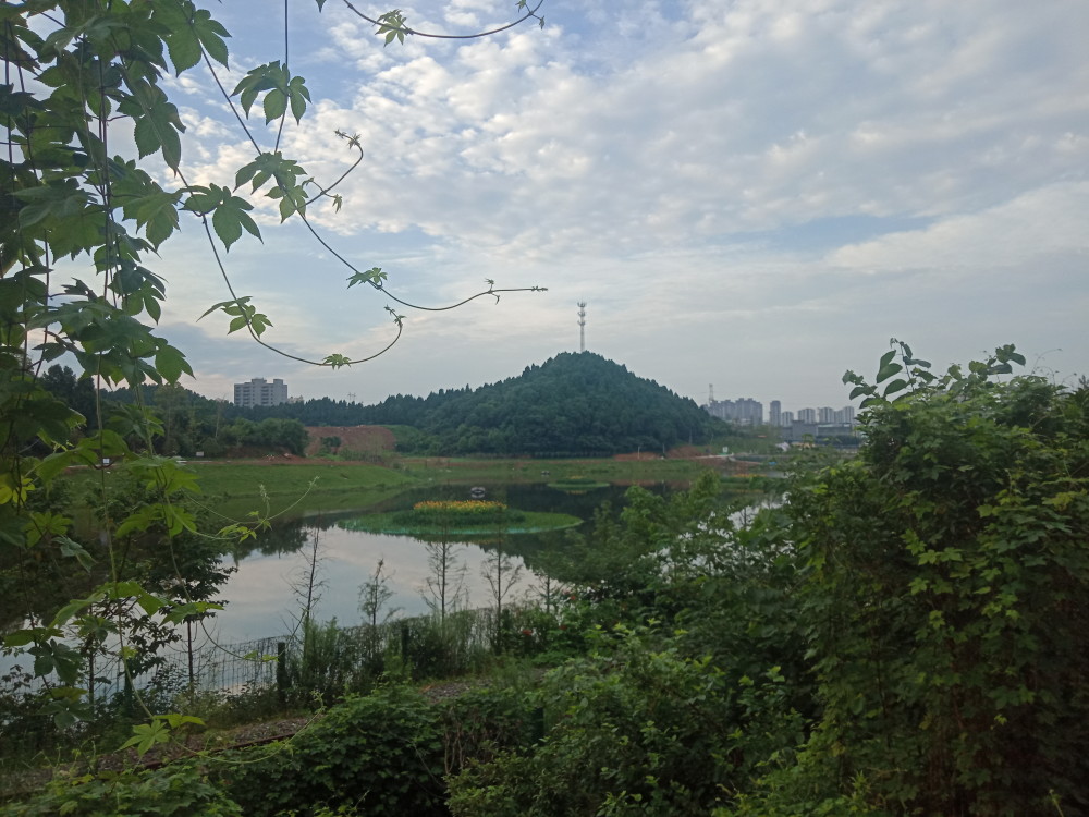 建设中的宜昌沙河湿地公园