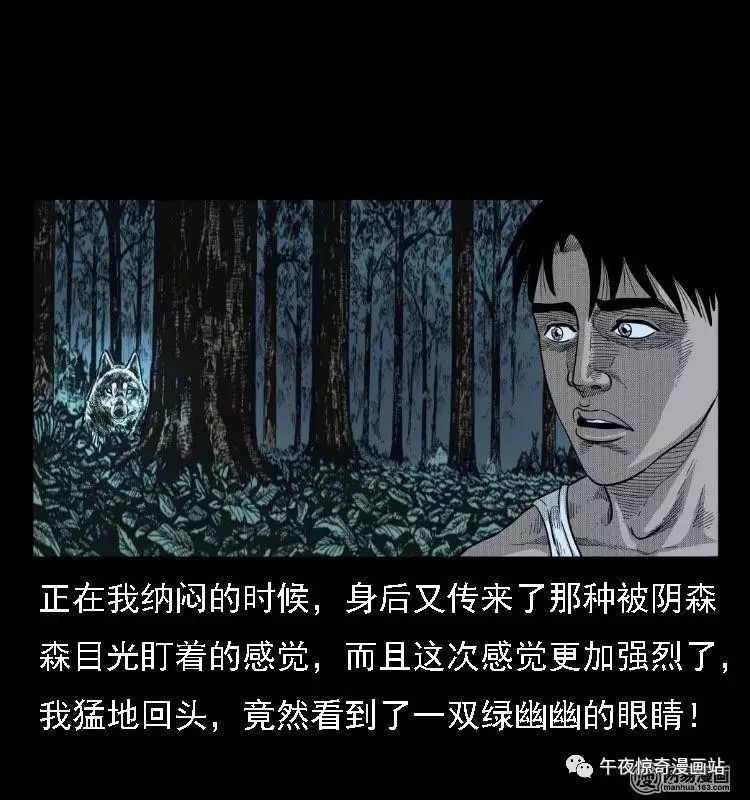 民间灵异漫画《遇险,森林深处一双阴森森的眼睛盯着我看!