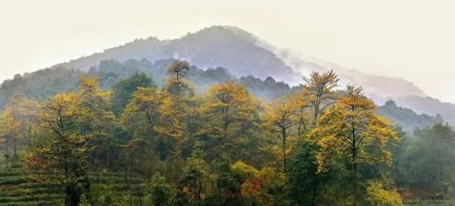 西山国家森林公园