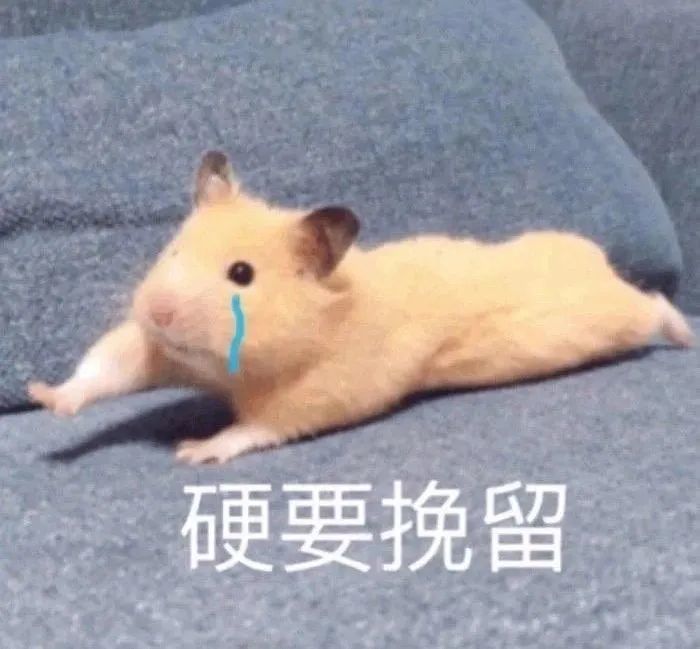 "把你家臭宝怼到想吻你的表情包"