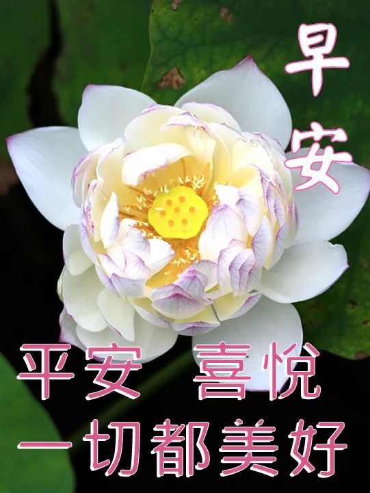 早安图片带字 早安问候语录