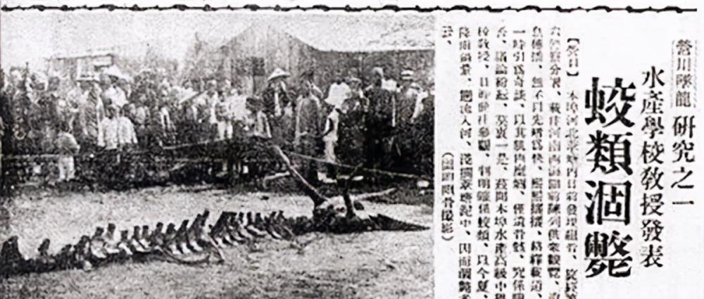 1934年营口坠龙事件是真是假老人上交龙骨揭开真相