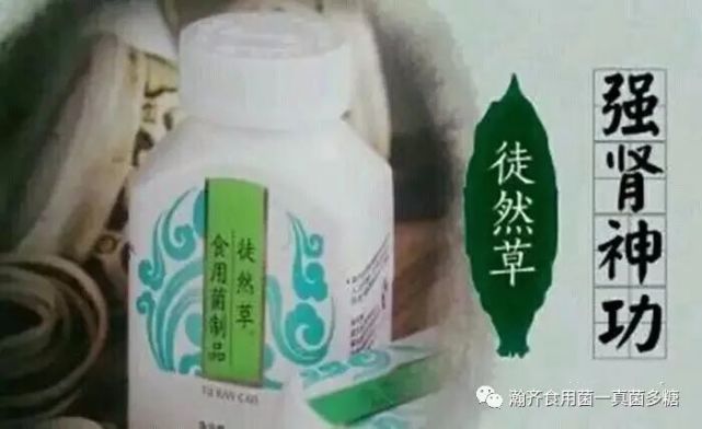 瀚齐食用菌十五款产品的功效