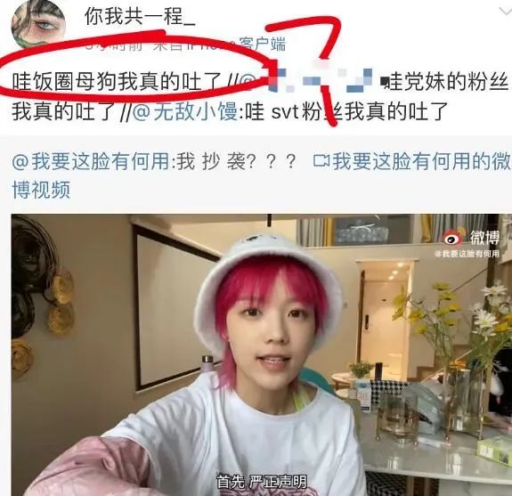 精日 辱华,她终于被封杀了?