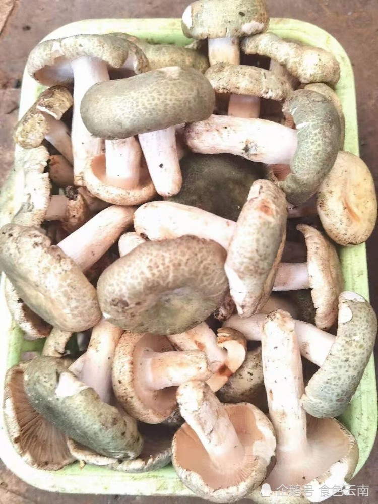 1000