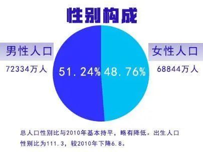 人口性别结构_中国互联网应用发展状况 服务呈现智慧化与精细化特点