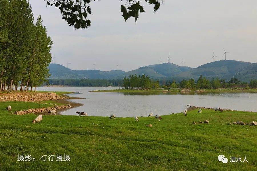 发现泗水之美一个盛产美景的好地方值得你一去消夏