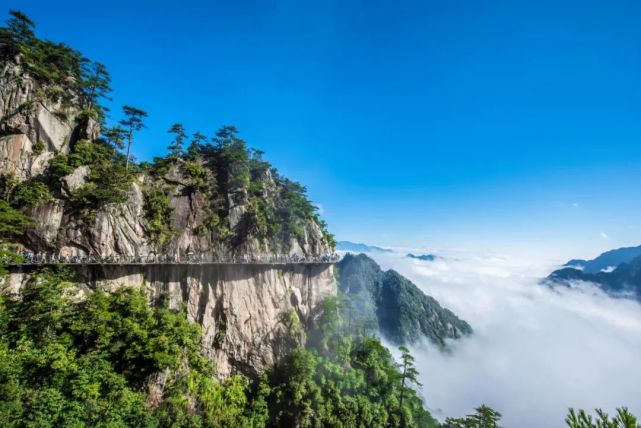 百药山,戴家山,指南山,大明山,天目山…大杭州又一批纳凉避暑胜地!