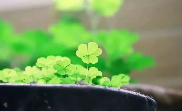 人生路上,学会善待自己