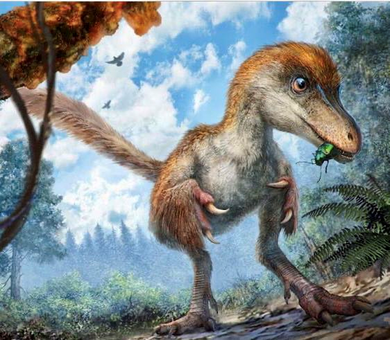 6年前中国科学家发现唯一的恐龙肉身残骸,恐龙复活恐
