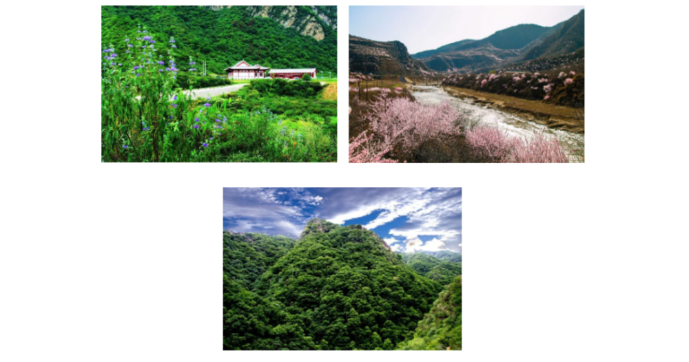 来崇信,这些旅游景点可不要错过哦!