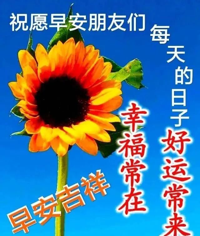 早上好朋友,最新早安问候祝福语图片带字温馨,早安漂亮图片问候祝福语