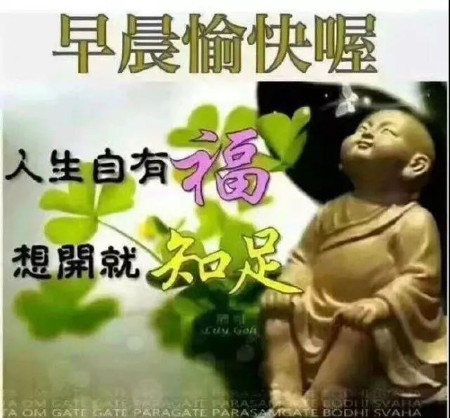 早安美图问候语,清晨最暖心的早上好祝福语