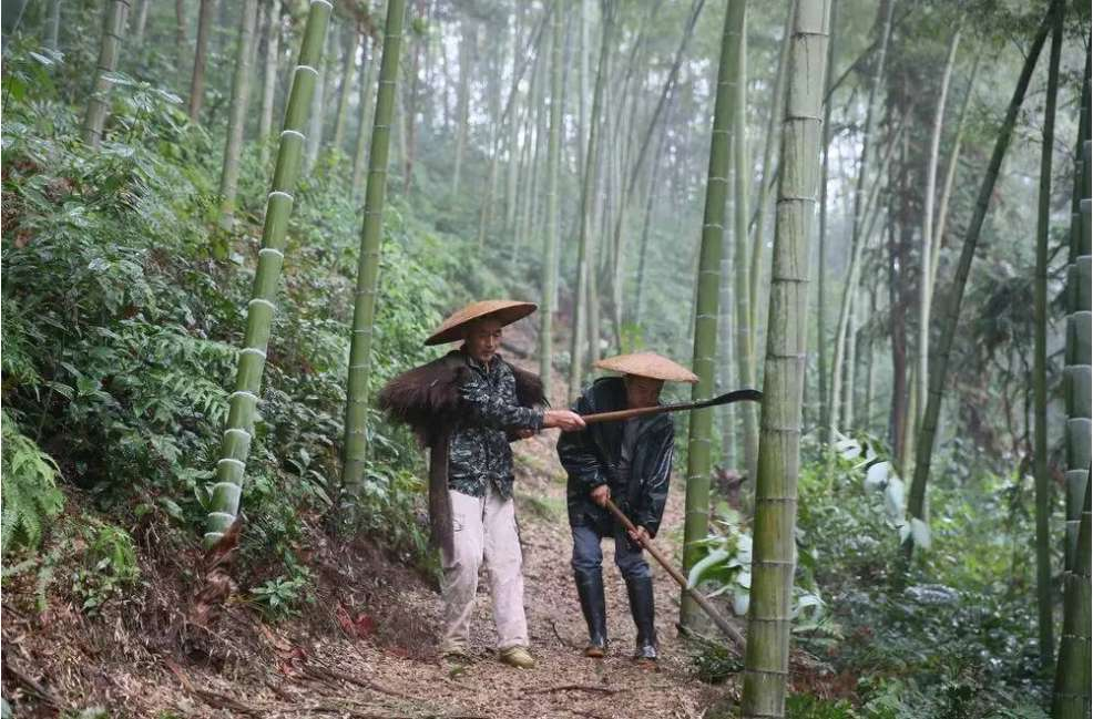 分别是:义务为山民捎带物资的"电骡子"覃道周,寒冬中跳江救人的彭恒喜