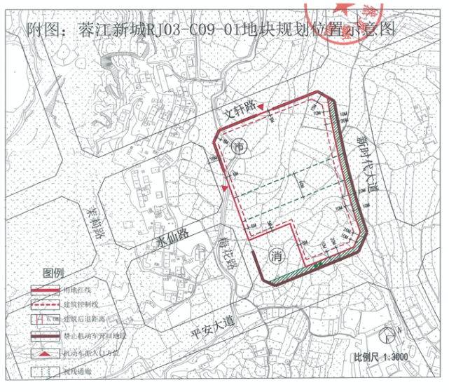 需要注意的是:机动车出入口在梅花路和文轩路两侧配建1500㎡的农贸