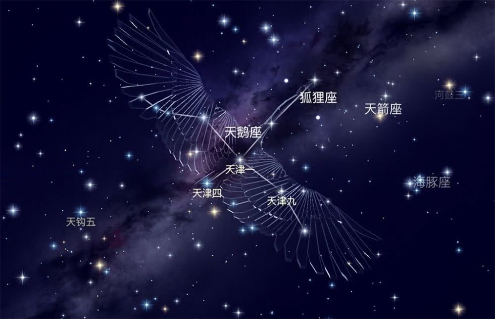 天鹅座神秘信号外星文明可能就藏在1400光年外