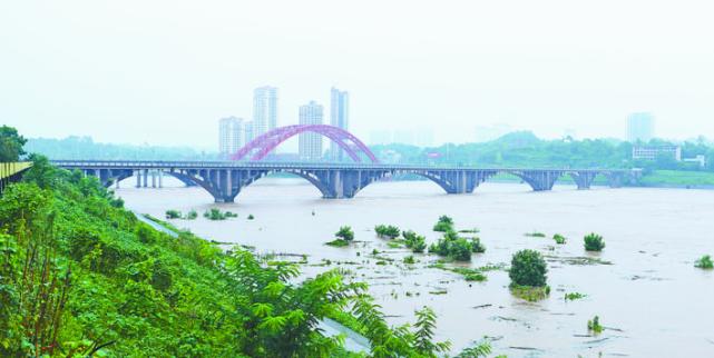 广安启动Ⅰ级防汛应急响应|广安区|防汛|前锋区|渠江|虎城镇