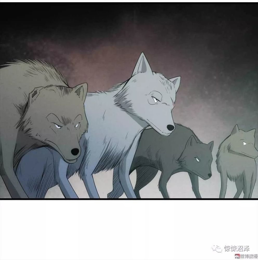 之恩(那晚跑到猎户家的"狗狗"是它们的小狼崽)所以它们才会全体出动