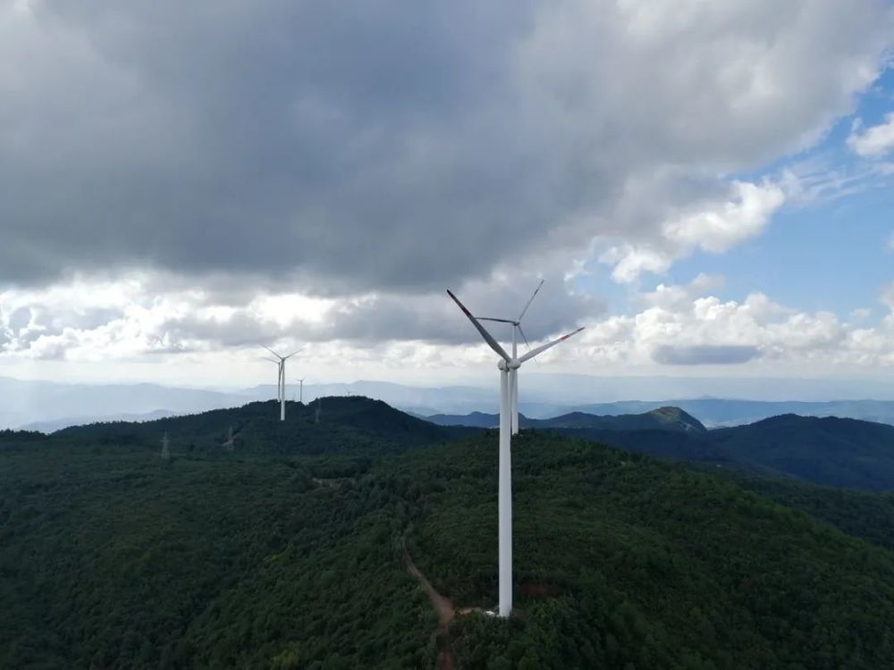 能源地理丨这里是白鹭腾飞的牟定风电场