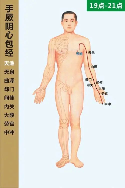 心包经在人体12经络之一,中医称其为"救命的心包经".