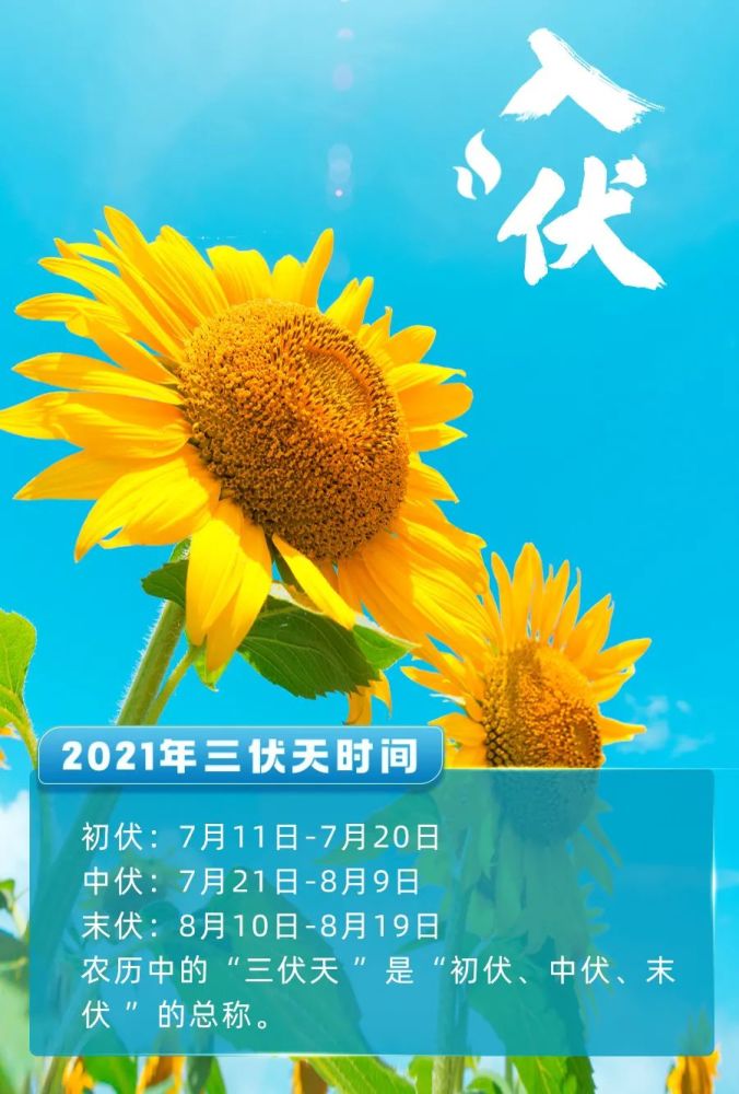 summer / 「昨天,7月11日,农历六月初二 庚申日 2021进入三伏(dog