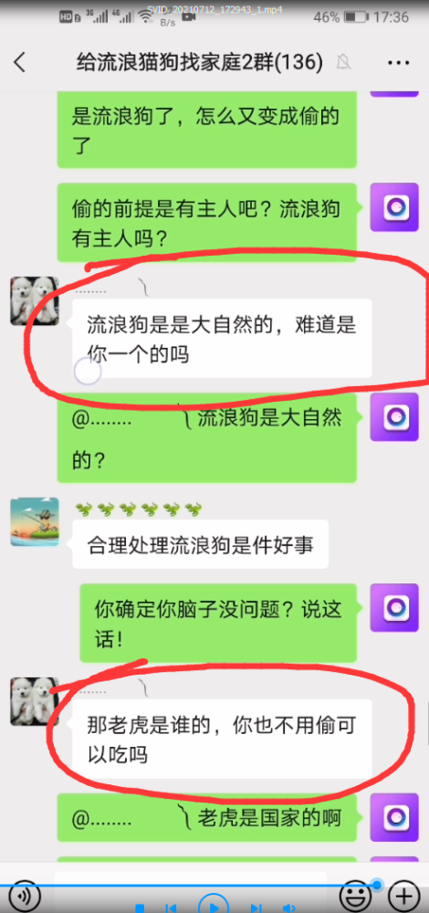 三句话让爱狗人士破防,讲讲道理.