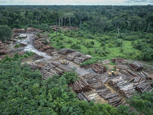 中国沙漠变森林!巴西雨林砍伐却猛增67:异常暴热根源已找到?