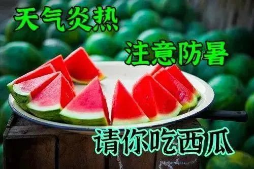 8张最新早上好三伏天很热防暑问候图片 天气热多喝水图片早上好表情包