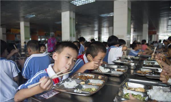 校园食堂短剧，美食、欢笑与青春的交响