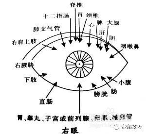 目诊教学一眼让你看出对方的病情中医养生必学