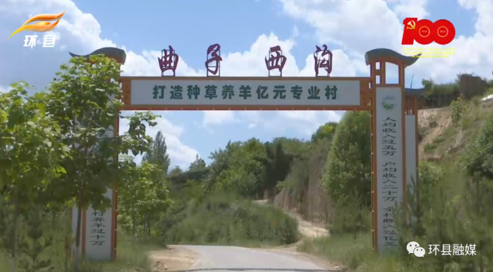 党建引领助推乡村振兴记全国先进基层党组织环县曲子镇西沟村