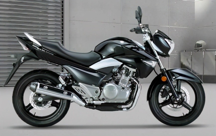 国产摩托排名_国产汽车十大排名suv