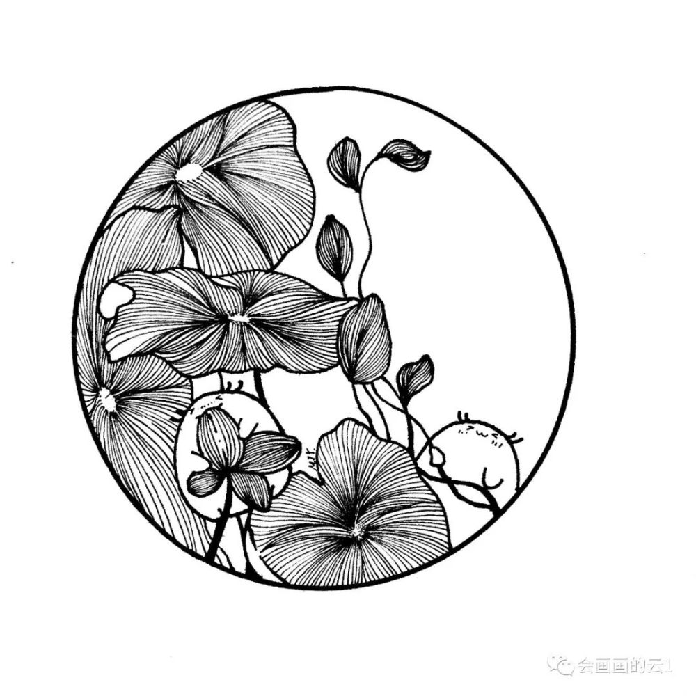 零基础线描画入门:分步骤讲解线描花卉,教程太给力了