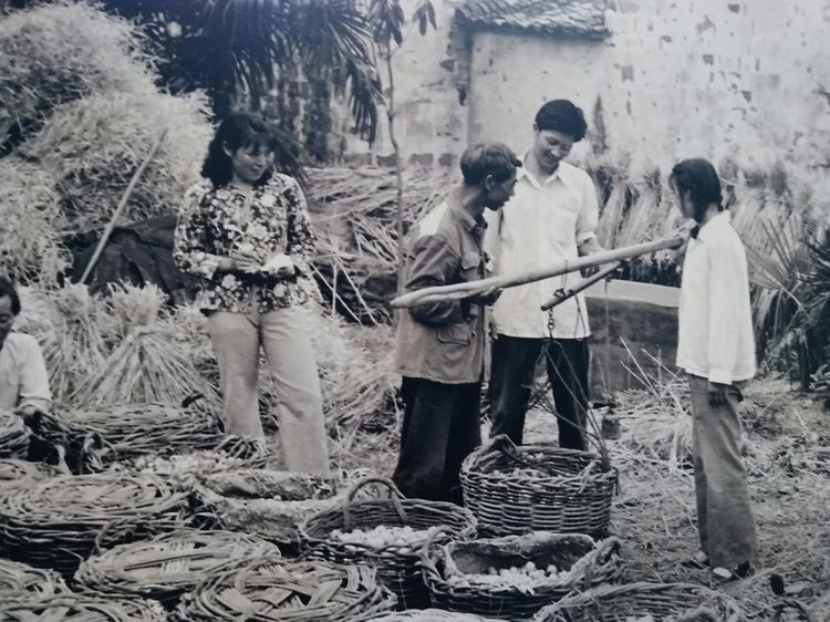 六十年代农忙时节生产队里集体收粮食的场面,还有"农业学大寨"的标语