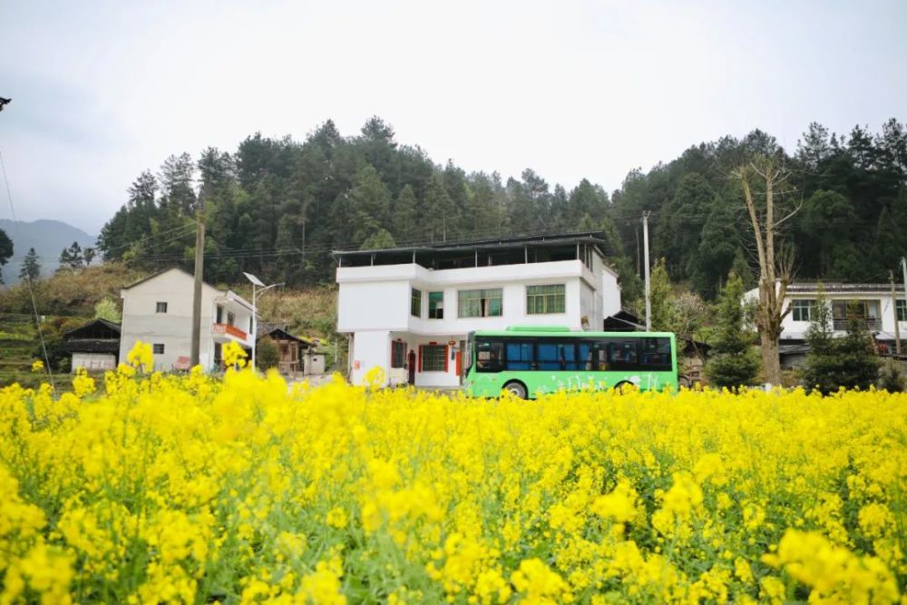 李鹤/摄航拍江口县民和镇龙宿村地落湖李鹤/摄鸟瞰江口县德旺乡坝梅村