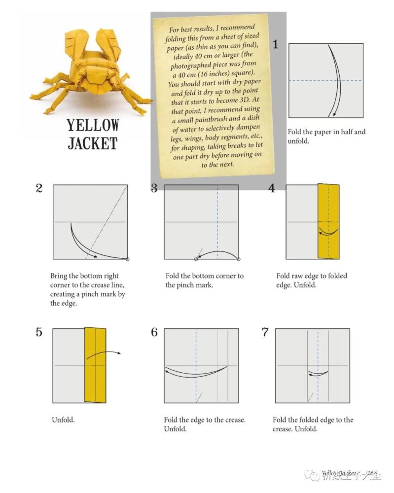 折纸图解罗伯特朗黄蜂