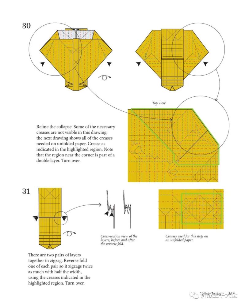 折纸图解罗伯特朗黄蜂