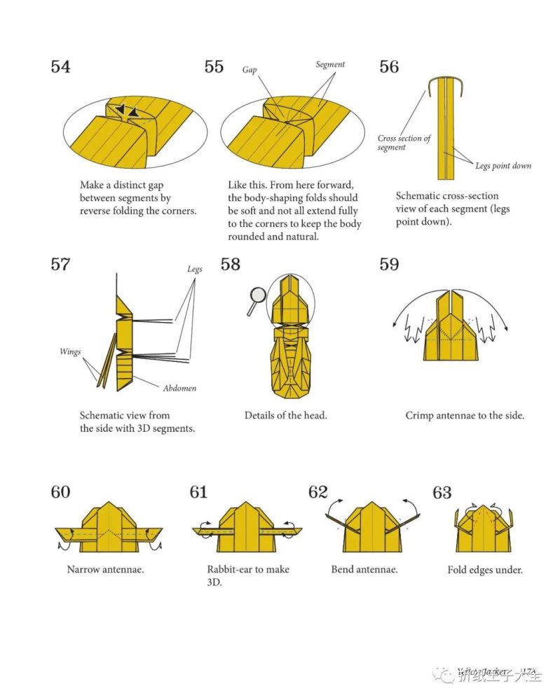 折纸图解罗伯特朗黄蜂