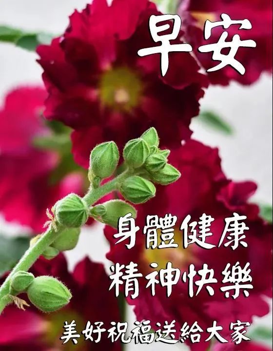 7月14日最漂亮的早上好祝福语图片温馨 清晨群发短语暧心问候动图