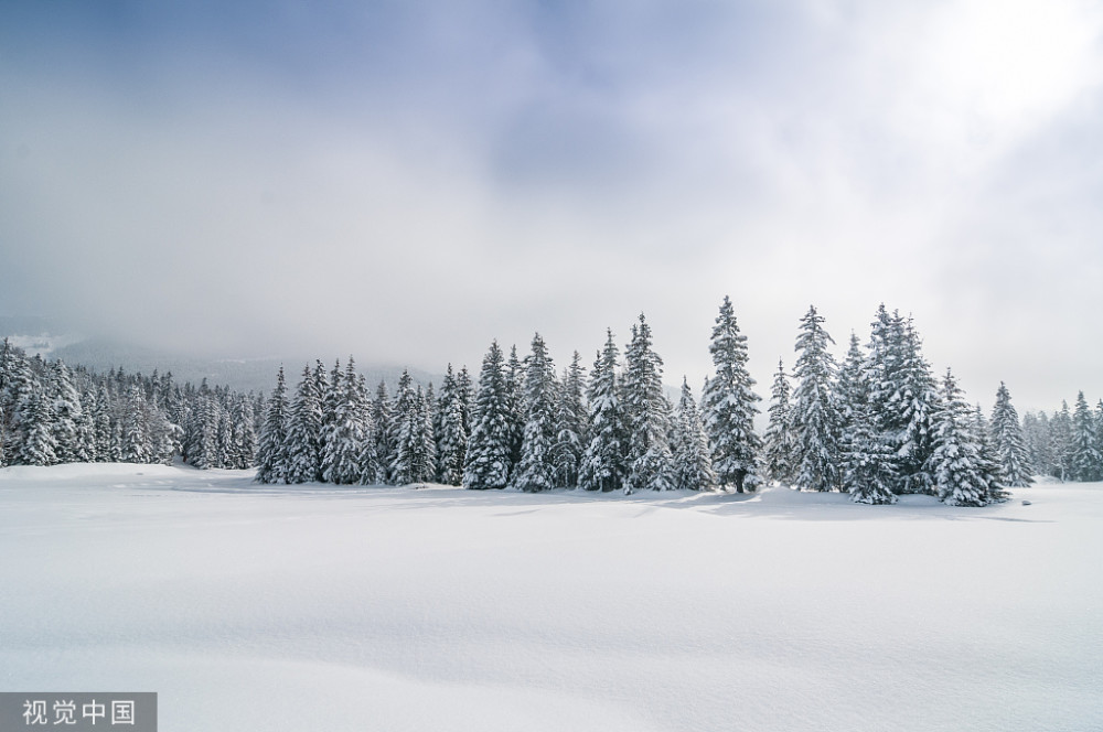 河南下雨了如何在下雪天拍出,有意境的雪景大片,最后一点,是你通往