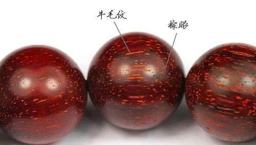 小叶紫檀的快速识别方法在这儿千万别错过