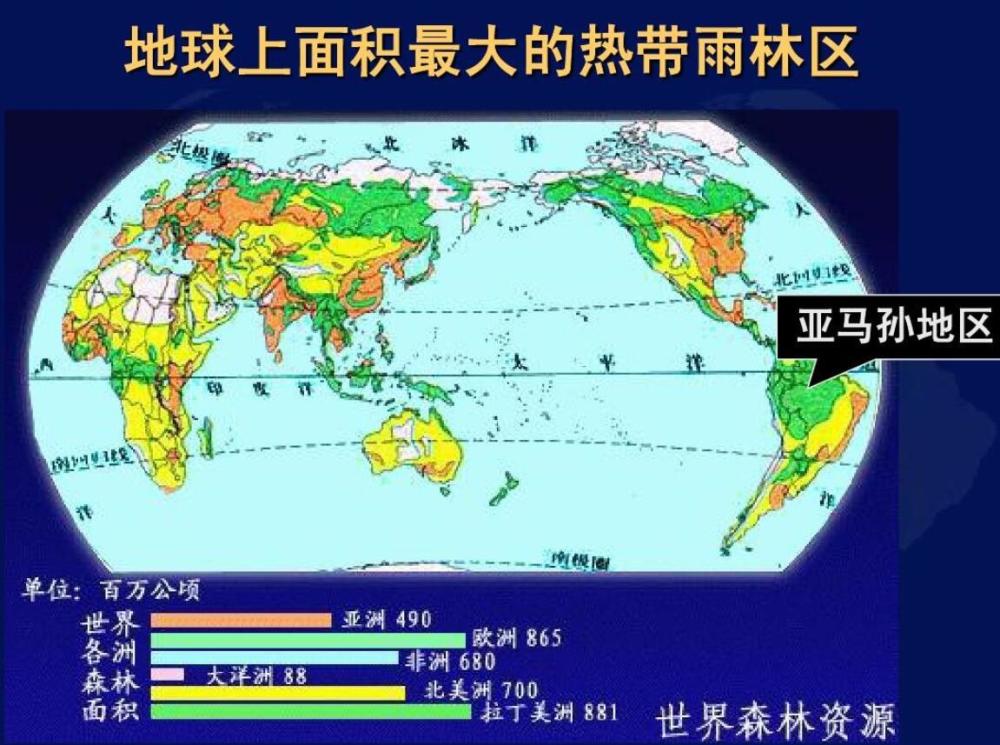 亚马逊丛林也就是我们说的亚马逊热带雨林,该雨林是地球上最原始的