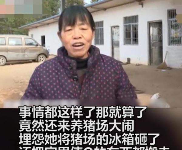 夫妻假离婚,妻子被掏空后丈夫却和他人领证,妻子:你骗得我好苦!