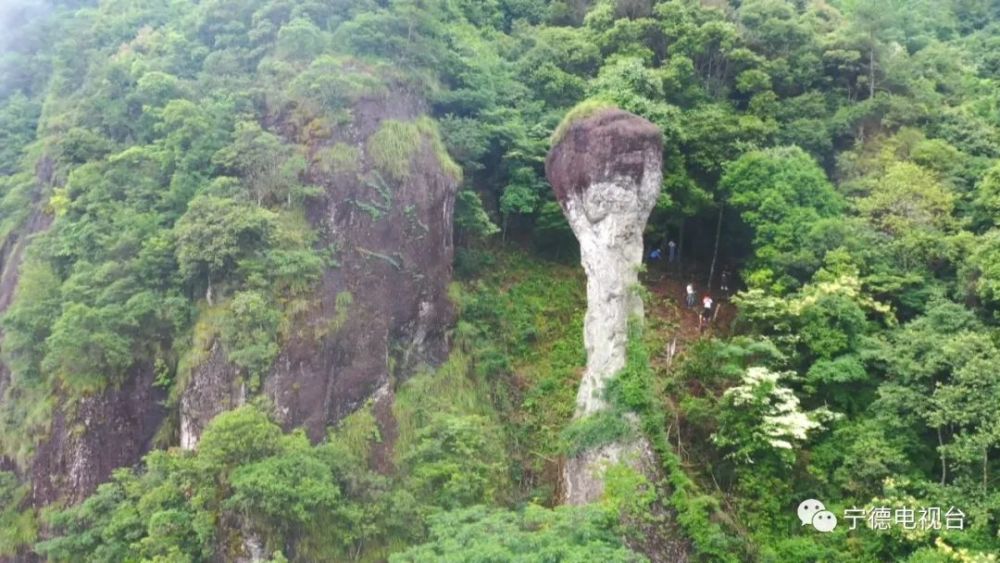 啊在我们屏南县的前墘村,人们在大自然当中还真的发现了一个大力神杯