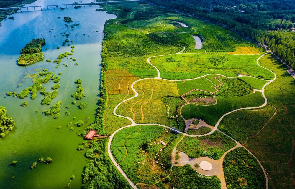 美丽江苏·每日一景丨邳州银杏湖风景区:水天一色的夏日风情