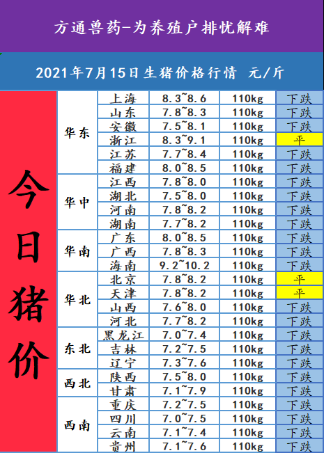 2021年7月15日,今日猪价