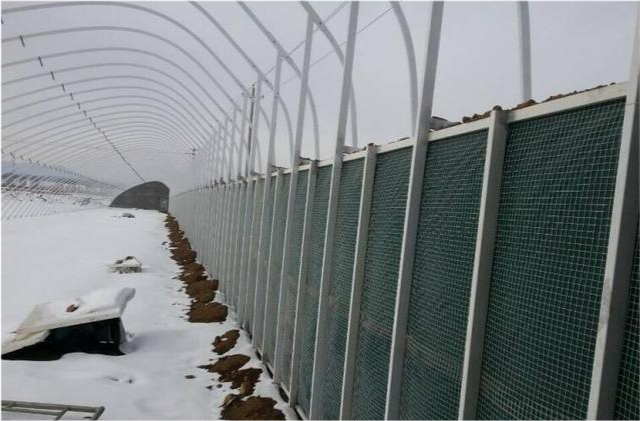 大棚用什么材料建保温好还结实