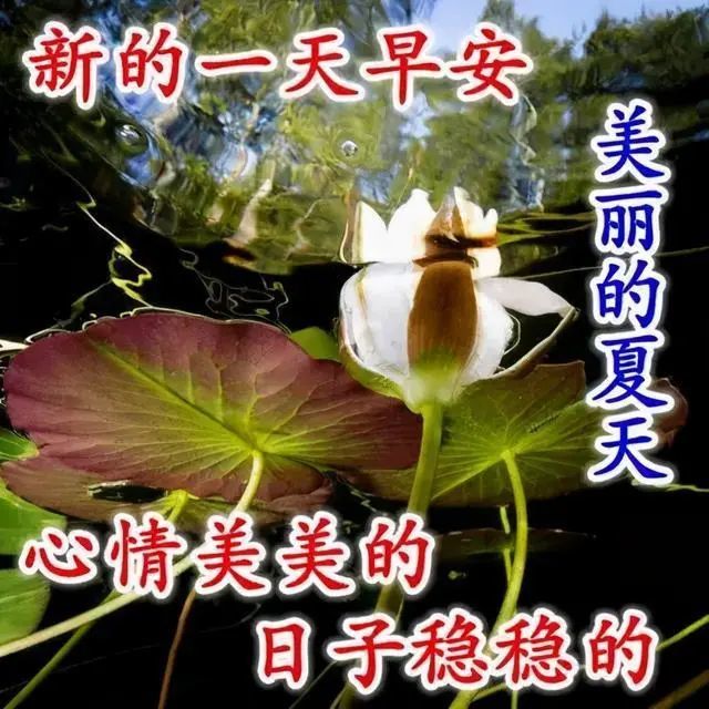 早上好朋友最新版夏天祝福语短信表情图片上好温馨祝福表情问候图片带
