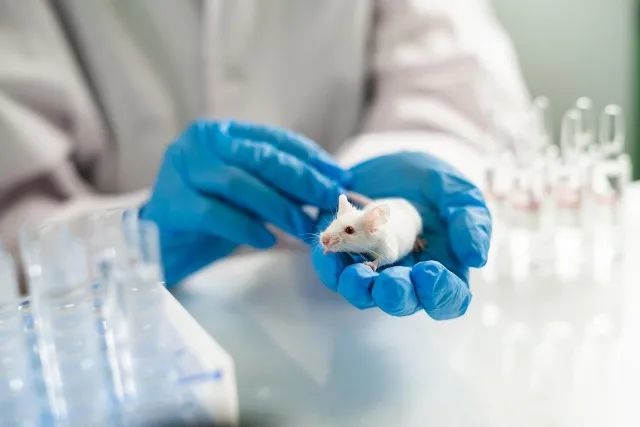 为什么光疗法可以抗抑郁小鼠实验告诉你来自德国的最新研究
